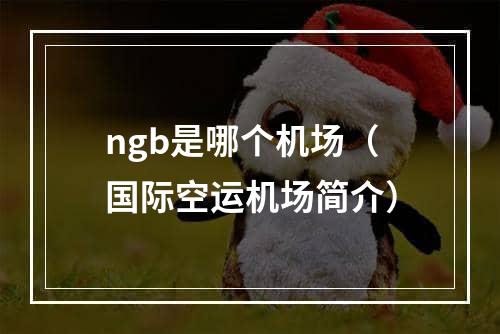 ngb是哪个机场（国际空运机场简介）