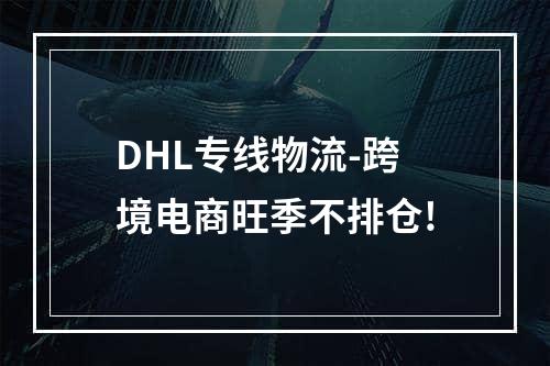 DHL专线物流-跨境电商旺季不排仓!