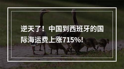 逆天了！中国到西班牙的国际海运费上涨715%!