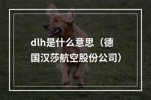 dlh是什么意思（德国汉莎航空股份公司）