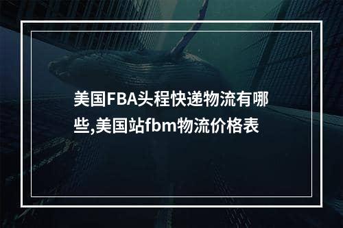 美国FBA头程快递物流有哪些,美国站fbm物流价格表