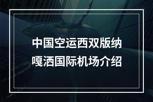 中国空运西双版纳嘎洒国际机场介绍