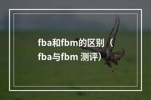 fba和fbm的区别（fba与fbm 测评）