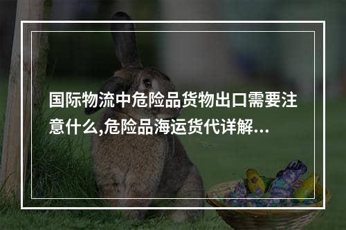 国际物流中危险品货物出口需要注意什么,危险品海运货代详解出口操作流程