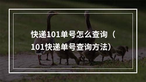 快递101单号怎么查询（101快递单号查询方法）