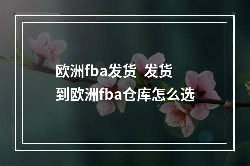 欧洲fba发货  发货到欧洲fba仓库怎么选