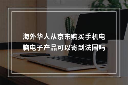 海外华人从京东购买手机电脑电子产品可以寄到法国吗