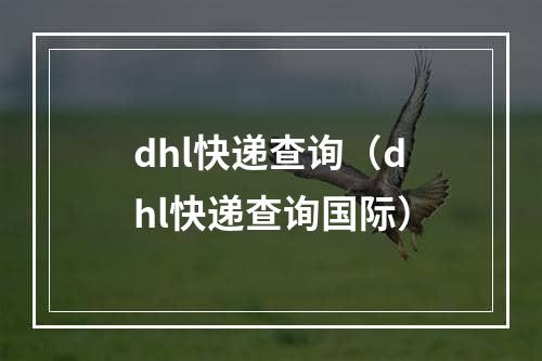 dhl快递查询（dhl快递查询国际）