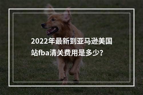 2022年最新到亚马逊美国站fba清关费用是多少？