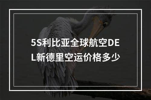 5S利比亚全球航空DEL新德里空运价格多少