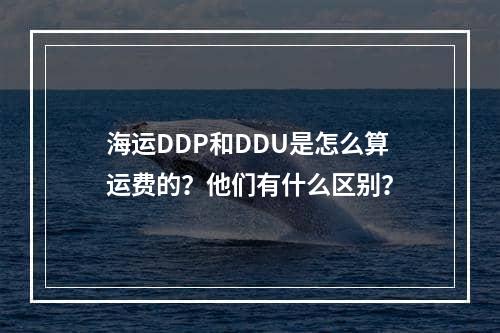 海运DDP和DDU是怎么算运费的？他们有什么区别？