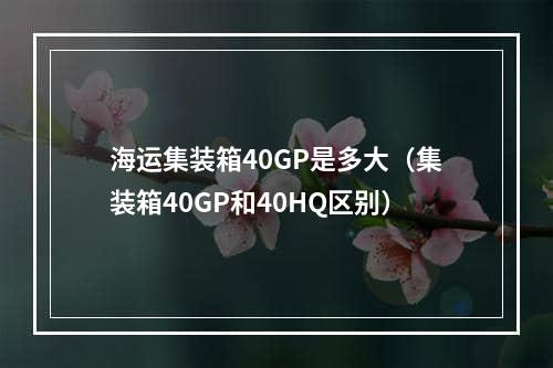 海运集装箱40GP是多大（集装箱40GP和40HQ区别）