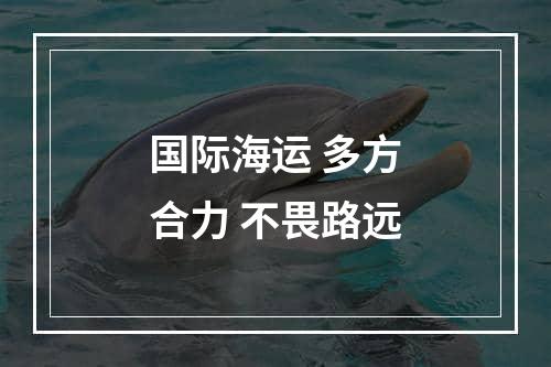 国际海运 多方合力 不畏路远