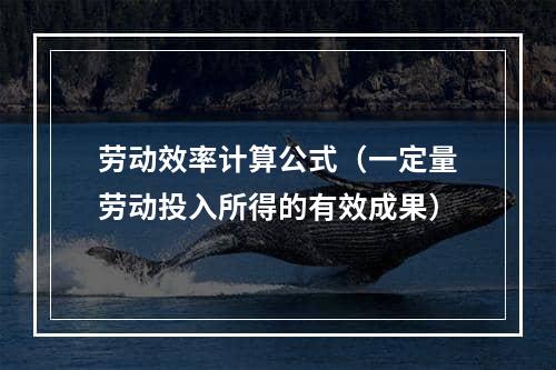 劳动效率计算公式（一定量劳动投入所得的有效成果）