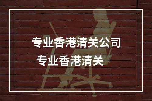 专业香港清关公司  专业香港清关