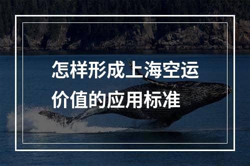 怎样形成上海空运价值的应用标准