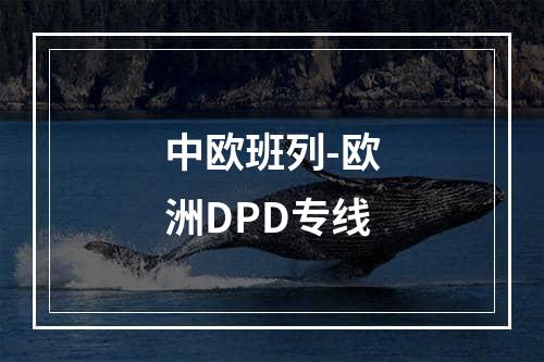 中欧班列-欧洲DPD专线