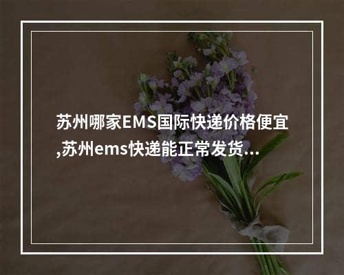 苏州哪家EMS国际快递价格便宜,苏州ems快递能正常发货吗