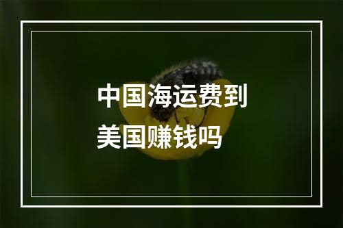 中国海运费到美国赚钱吗