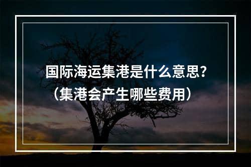 国际海运集港是什么意思？（集港会产生哪些费用）