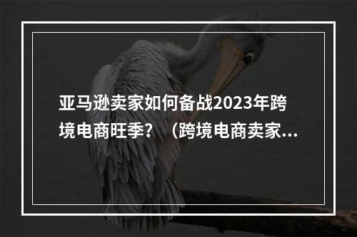 亚马逊卖家如何备战2023年跨境电商旺季？（跨境电商卖家一定要做好这些准备）