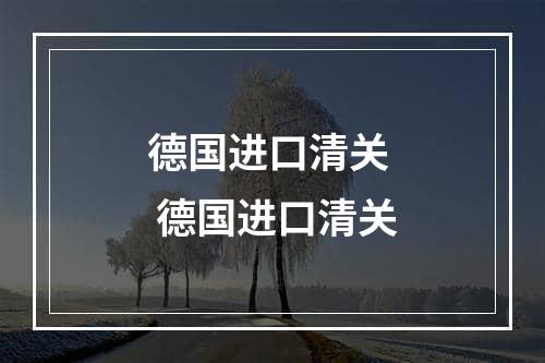 德国进口清关  德国进口清关