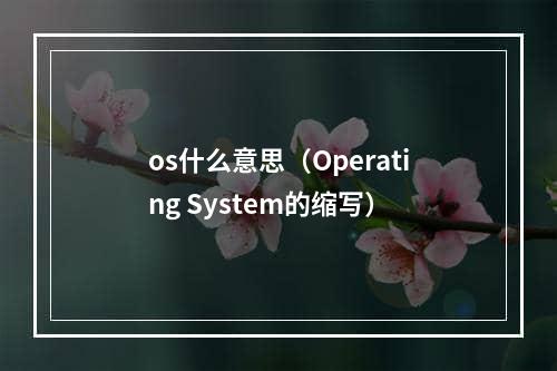 os什么意思（Operating System的缩写）