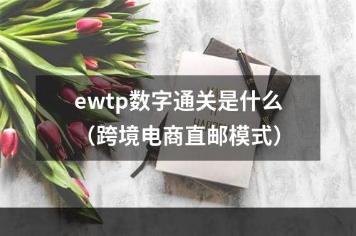 ewtp数字通关是什么（跨境电商直邮模式）