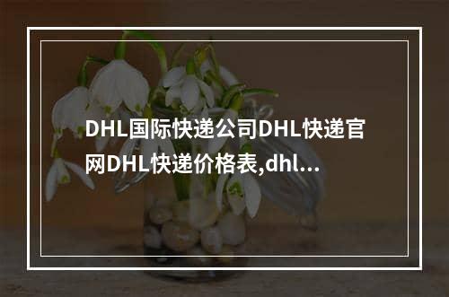 DHL国际快递公司DHL快递官网DHL快递价格表,dhl.cn国际快递价格表