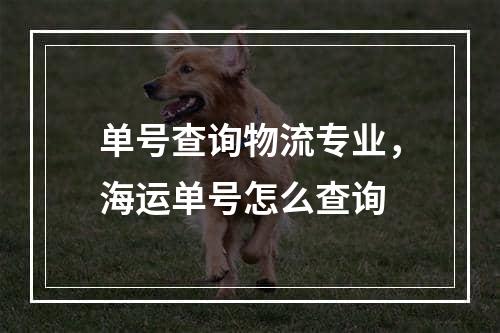 单号查询物流专业，海运单号怎么查询