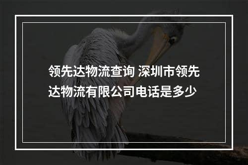 领先达物流查询 深圳市领先达物流有限公司电话是多少