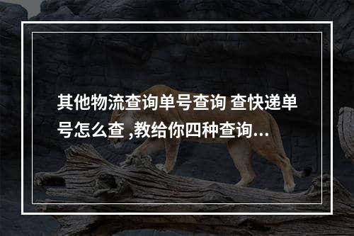 其他物流查询单号查询 查快递单号怎么查 ,教给你四种查询方式,一分钟搞定所有问题