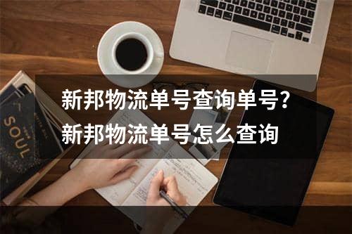 新邦物流单号查询单号？新邦物流单号怎么查询