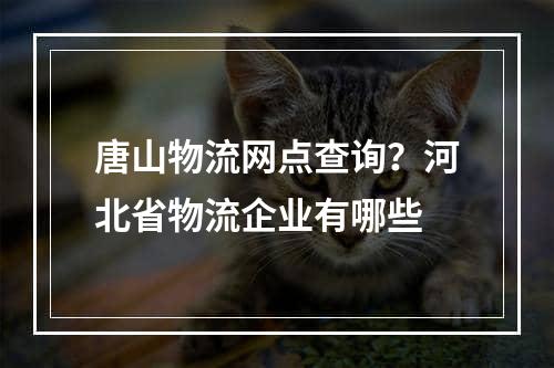 唐山物流网点查询？河北省物流企业有哪些