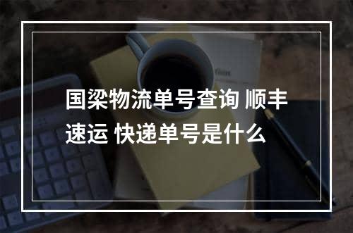 国梁物流单号查询 顺丰速运 快递单号是什么