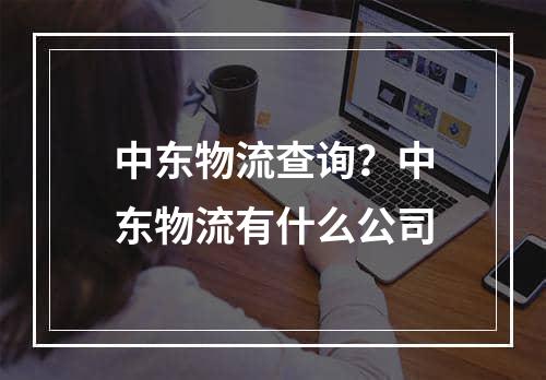 中东物流查询？中东物流有什么公司