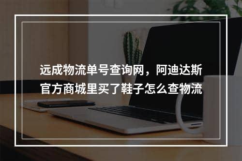 远成物流单号查询网，阿迪达斯官方商城里买了鞋子怎么查物流