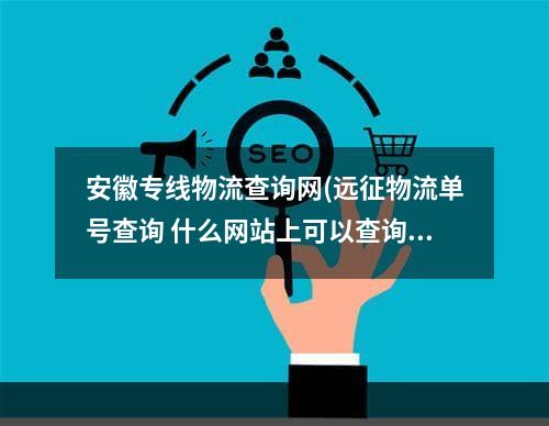 安徽专线物流查询网(远征物流单号查询 什么网站上可以查询远征物流单号啊)