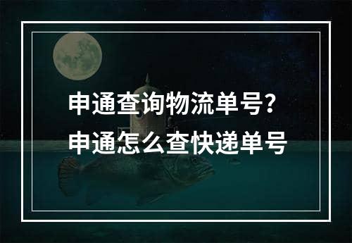 申通查询物流单号？申通怎么查快递单号