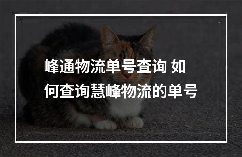 峰通物流单号查询 如何查询慧峰物流的单号