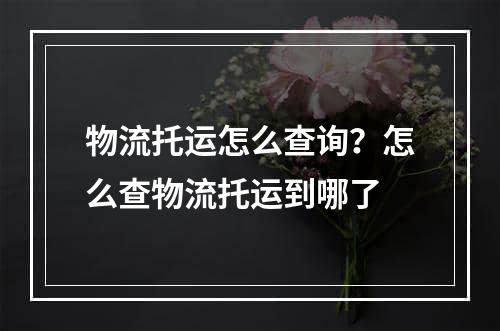 物流托运怎么查询？怎么查物流托运到哪了