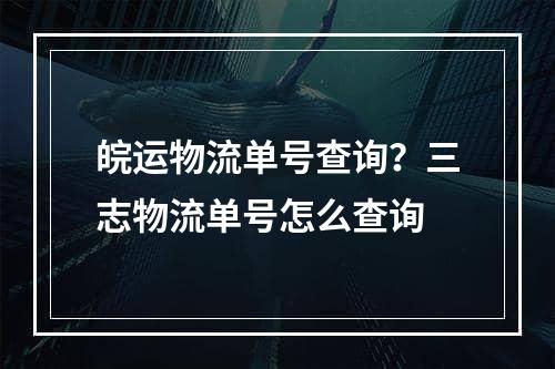 皖运物流单号查询？三志物流单号怎么查询