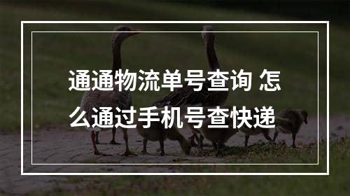 通通物流单号查询 怎么通过手机号查快递