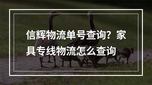 信辉物流单号查询？家具专线物流怎么查询