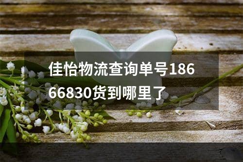 佳怡物流查询单号18666830货到哪里了