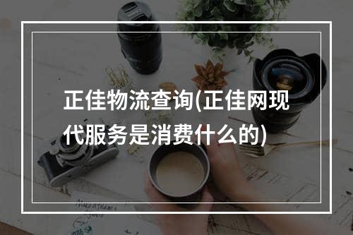 正佳物流查询(正佳网现代服务是消费什么的)