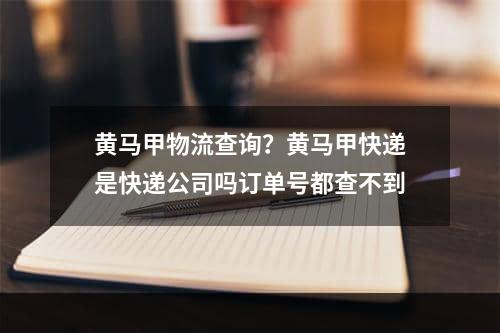 黄马甲物流查询？黄马甲快递是快递公司吗订单号都查不到