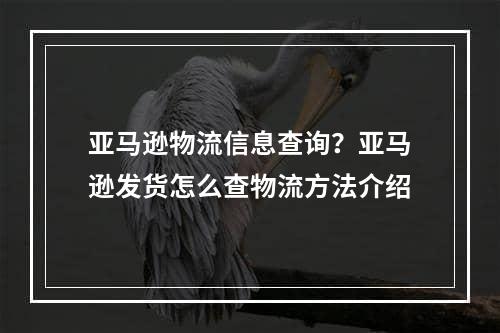 亚马逊物流信息查询？亚马逊发货怎么查物流方法介绍