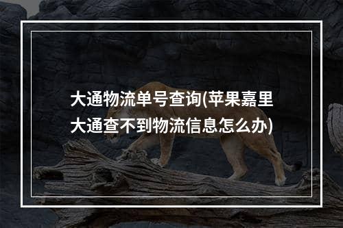 大通物流单号查询(苹果嘉里大通查不到物流信息怎么办)