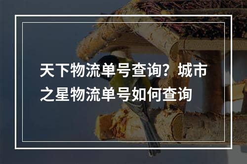 天下物流单号查询？城市之星物流单号如何查询